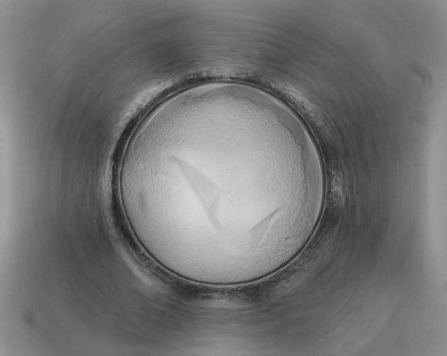 X0000114570678200911091216