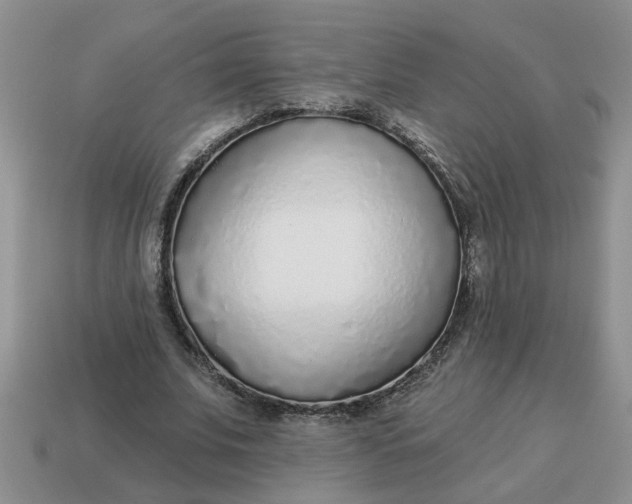 X0000114570679200911091216