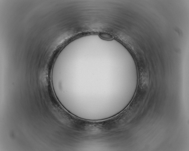 X0000114570680200911091216