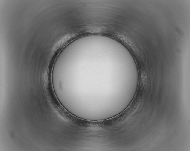 X0000114570682200911091216