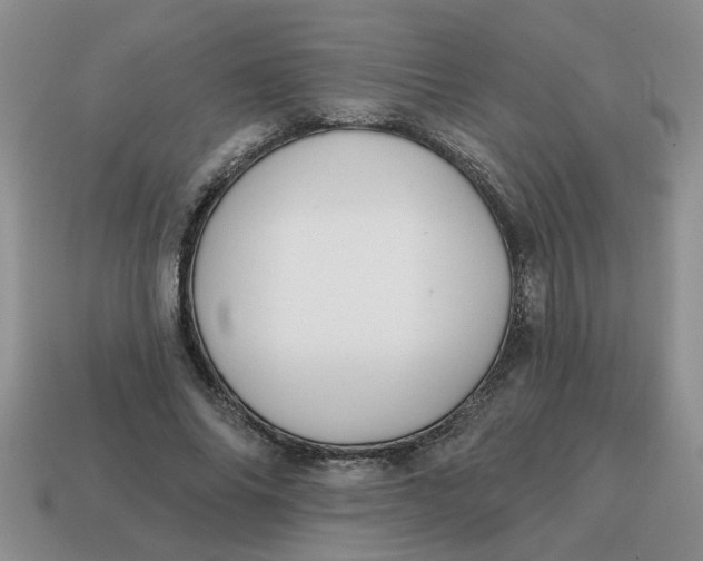 X0000114570686200911091216