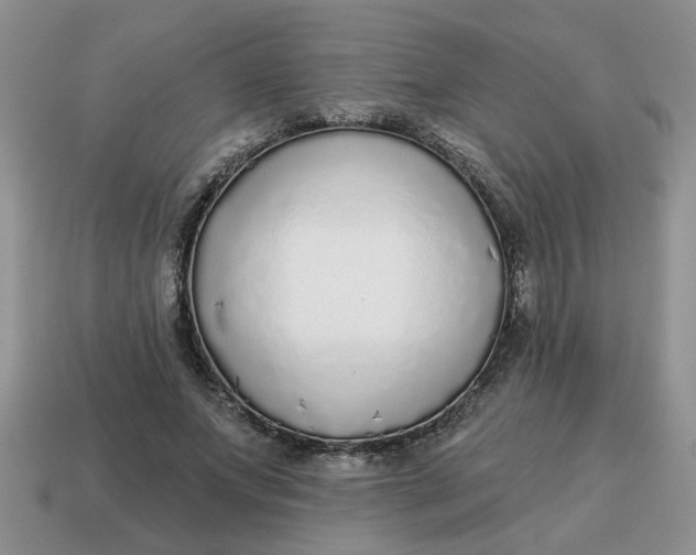 X0000114570687200911091216