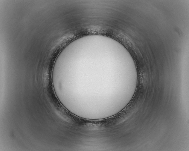 X0000114570690200911091216