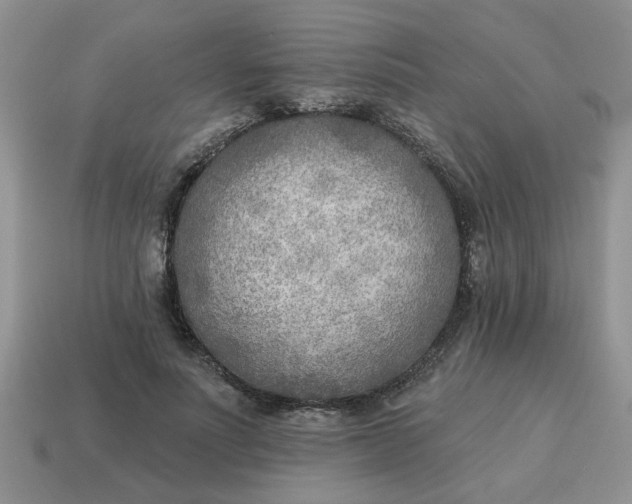 X0000114570691200911091216