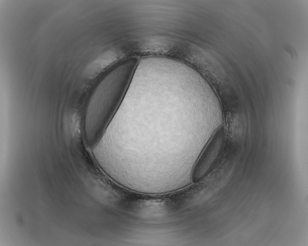 X0000114570692200911091216