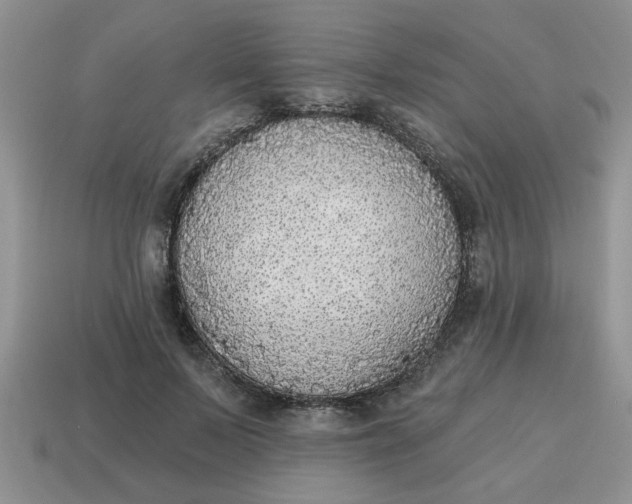 X0000114570695200911091216