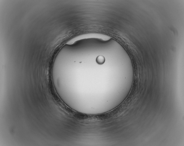 X0000114570696200911091216