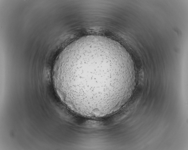 X0000114570699200911091216