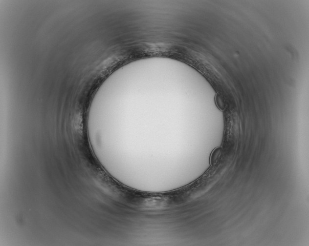 X0000114570700200911091216