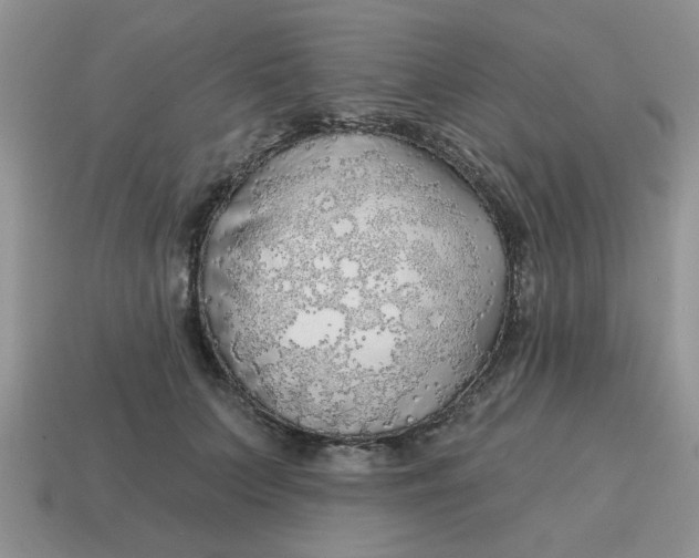 X0000114570703200911091216