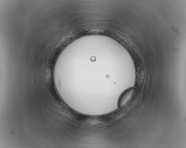 X0000114570704200911091216