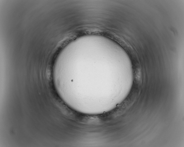 X0000114570715200911091215