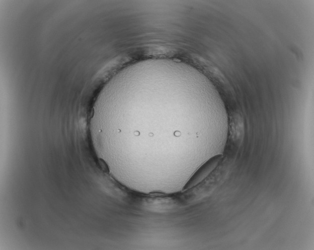 X0000114570716200911091215