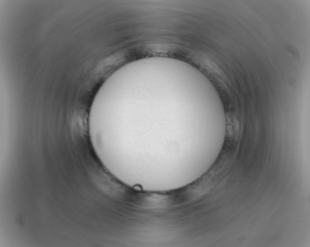 X0000114570718200911091215