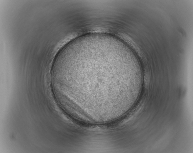 X0000114570721200911091215