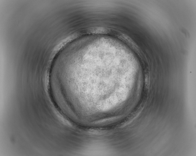 X0000114570725200911091215