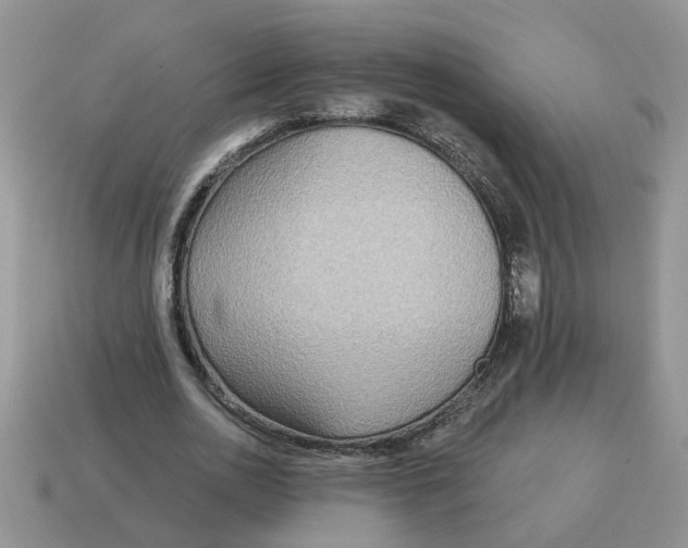 X0000114570726200911091215