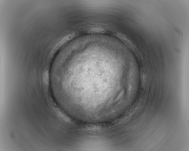 X0000114570729200911091215