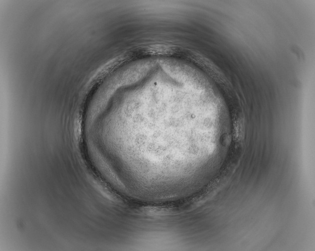 X0000114570733200911091215