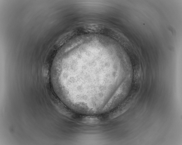 X0000114570749200911091215