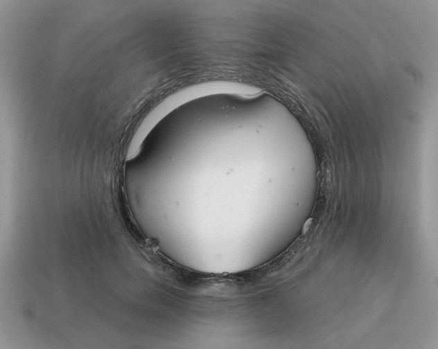 X0000114570750200911091215