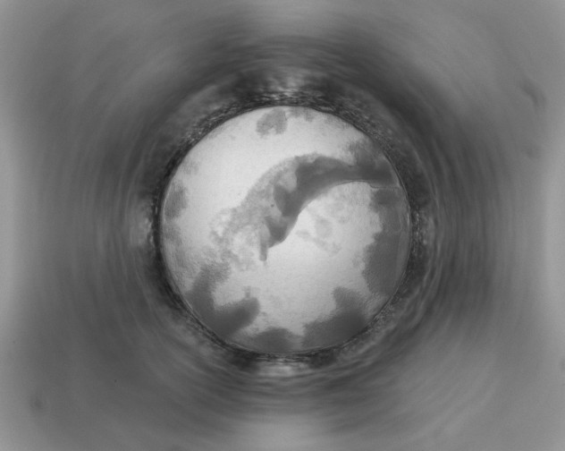 X0000114570754200911091215