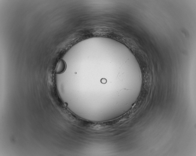 X0000114570755200911091215