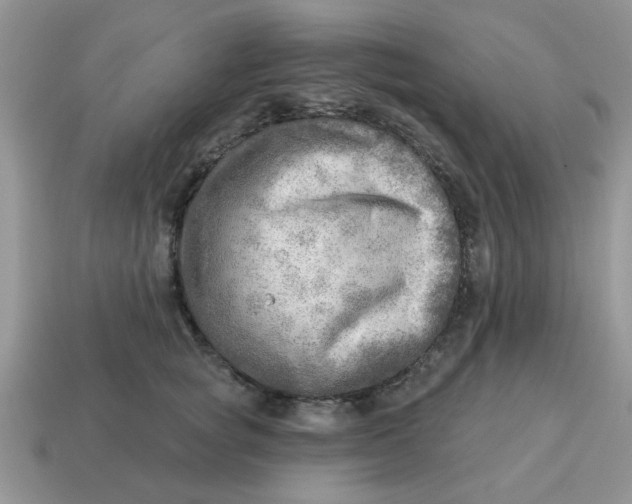 X0000114570757200911091215