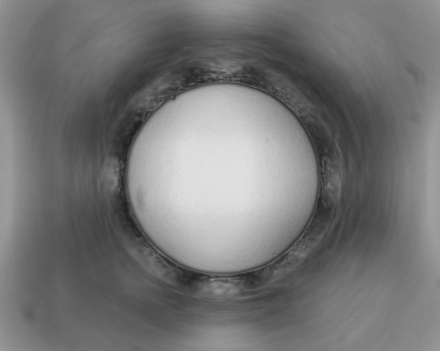 X0000114570758200911091215