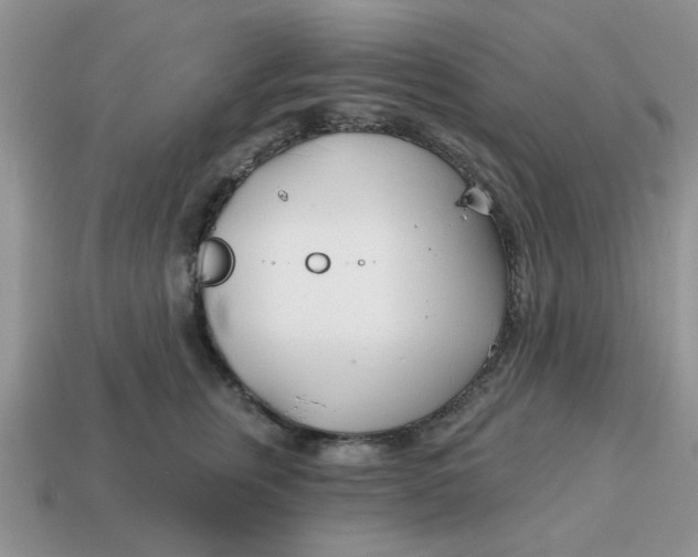 X0000114570759200911091215