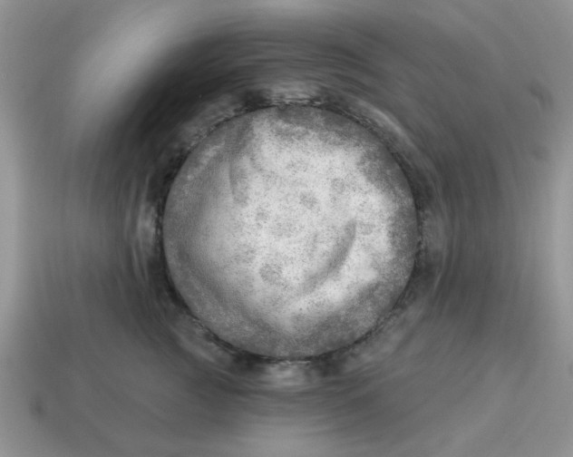 X0000114570761200911091215