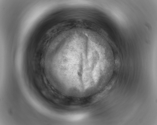 X0000114570765200911091215