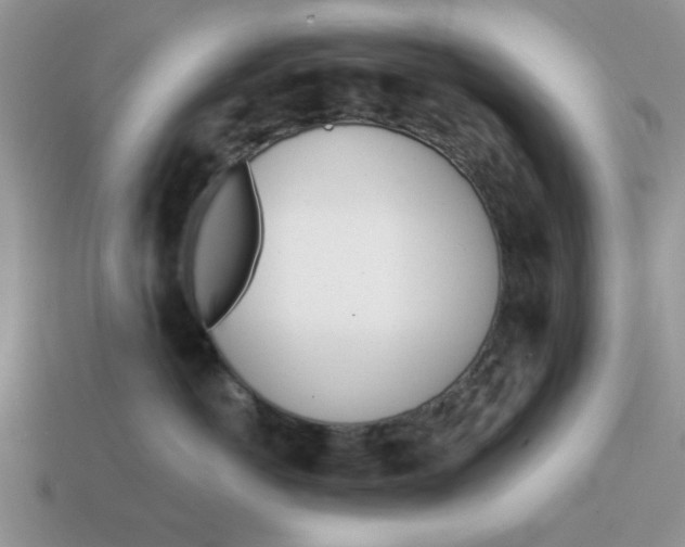 X0000114570766200911091215