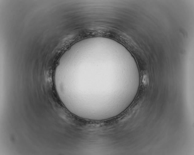 X0000114570771200911091215