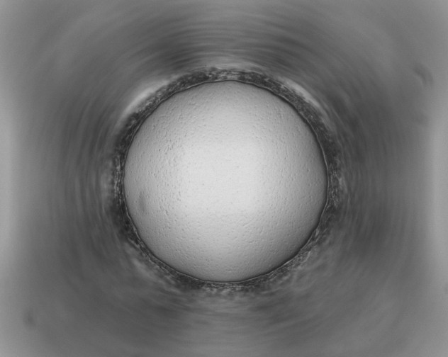 X0000114570775200911091215