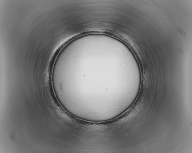 X0000114570779200911091215