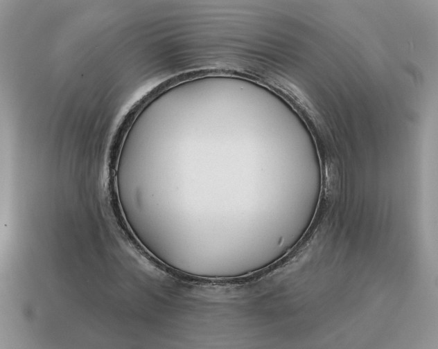 X0000114570780200911091215