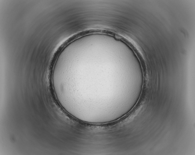 X0000114570783200911091215