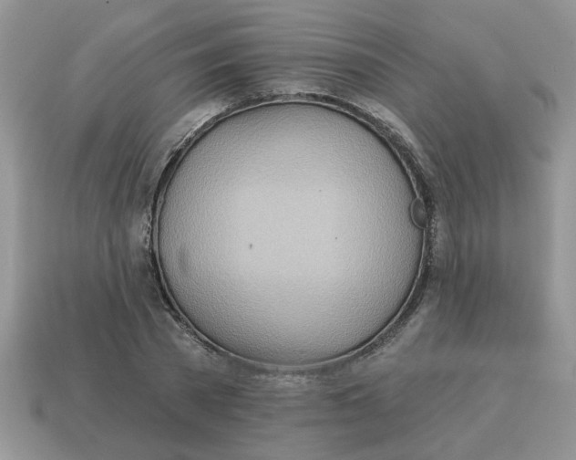 X0000114570785200911091215