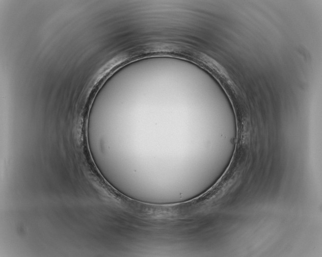 X0000114570786200911091215