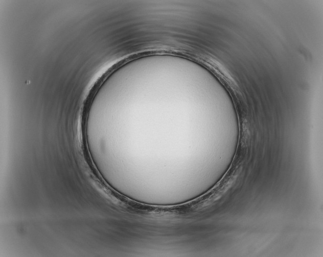 X0000114570788200911091215