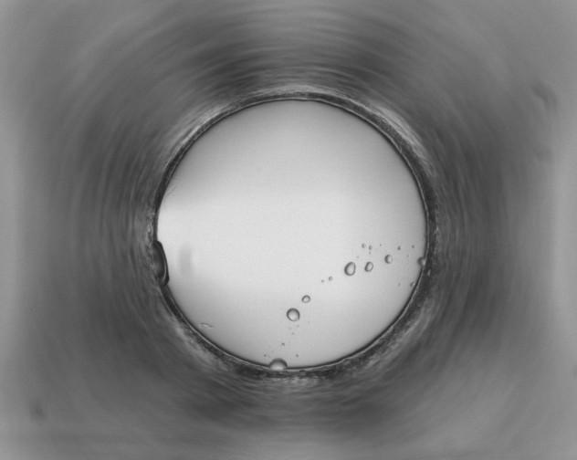 X0000114570793200911091214