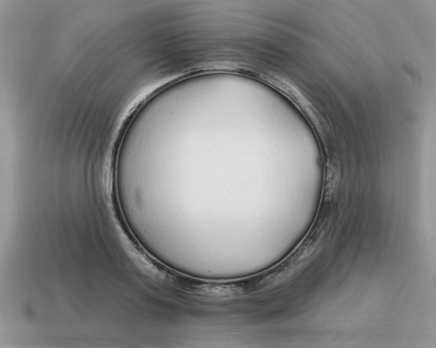 X0000114570795200911091214