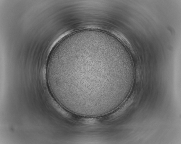 X0000114570798200911091214