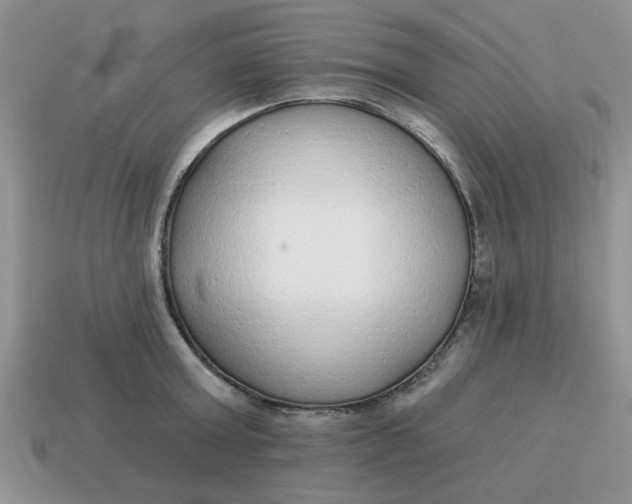 X0000114570803200911091214