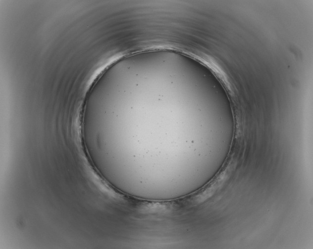 X0000114570806200911091214