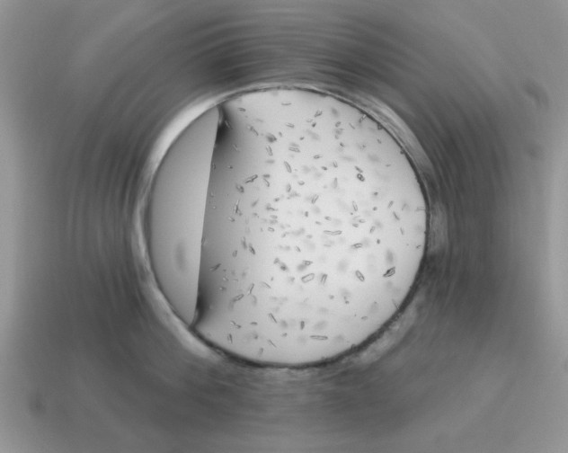 X0000114570812200911091214