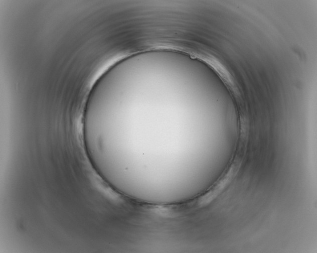 X0000114570814200911091214