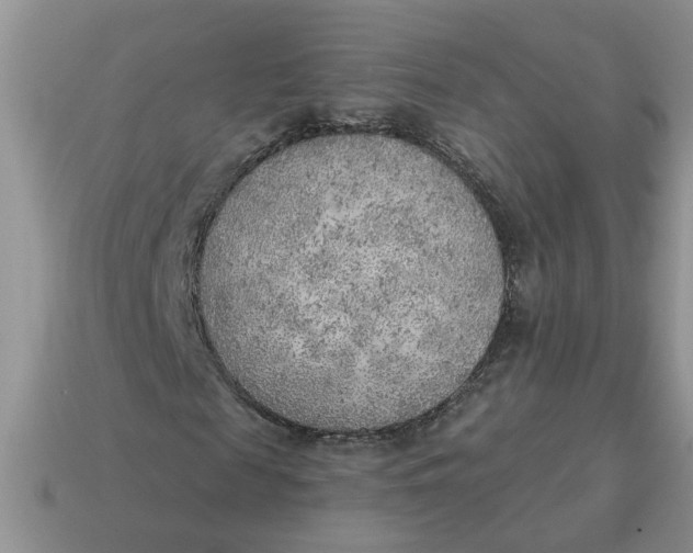 X0000114570817200911091214