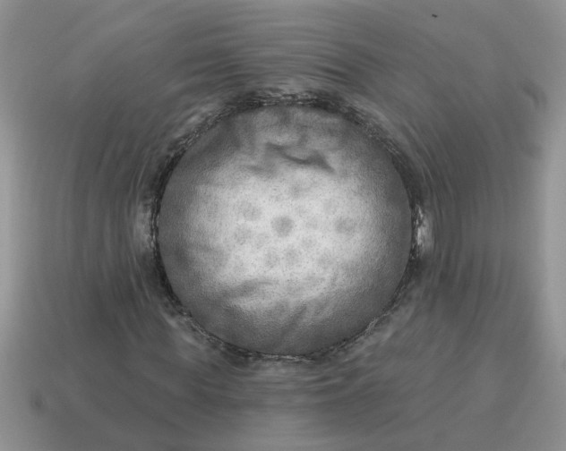 X0000114570819200911091214